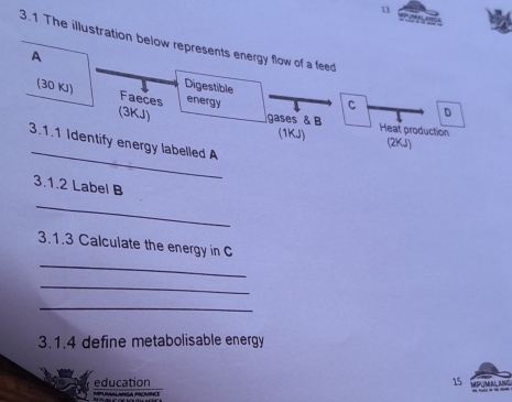 1 
3.1 The illustration below represents energy flow of a feed 
A 
(30 KJ) Faeces energy 
Digestible C D 
(3KJ) 
gases & B Heat production 
_ 
(1KJ) (2KJ) 
3.1.1 Identify energy labelled A 
3.1.2 Label B 
_ 
_ 
3.1.3 Calculate the energy in C 
_ 
_ 
3.1.4 define metabolisable energy 
15 PATM AL ANG 
education MIPUNALLANGA PROVINC