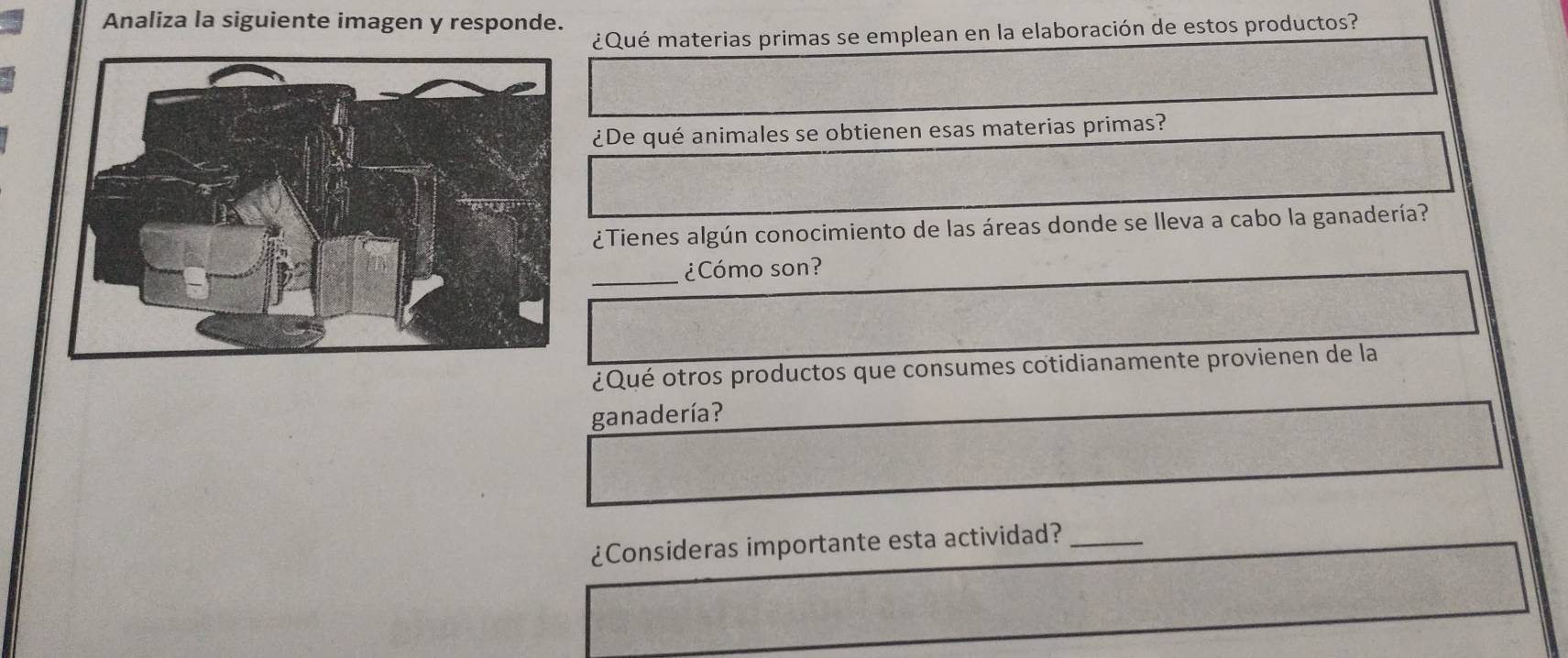 Analiza la siguiente imagen y responde. 
¿Qué materias primas se emplean en la elaboración de estos productos? 
¿De qué animales se obtienen esas materias primas? 
¿Tienes algún conocimiento de las áreas donde se lleva a cabo la ganadería? 
_¿Cómo son? 
¿Qué otros productos que consumes cotidianamente provienen de la 
ganadería? 
¿Consideras importante esta actividad?_