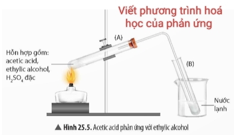 ình hoá
n ứng
a(B)
Nước
lạnh
Hình 25.5. Acetic acid phản ứng với ethylic alcohol