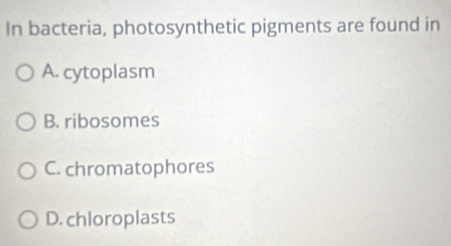 In bacteria, photosynthetic pigments are found in
A. cytoplasm
B. ribosomes
C. chromatophores
D. chloroplasts