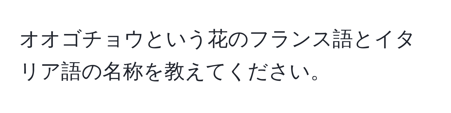 オオゴチョウという花のフランス語とイタリア語の名称を教えてください。