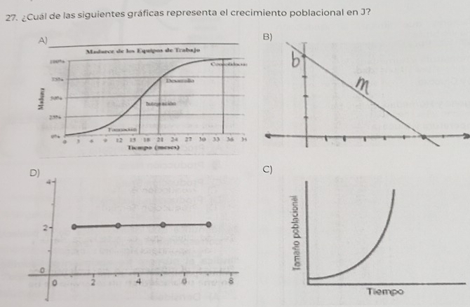 ¿Cuál de las siguientes gráficas representa el crecimiento poblacional en J? 
D) 
C) 
4.
2

0
。 2 4 。 8