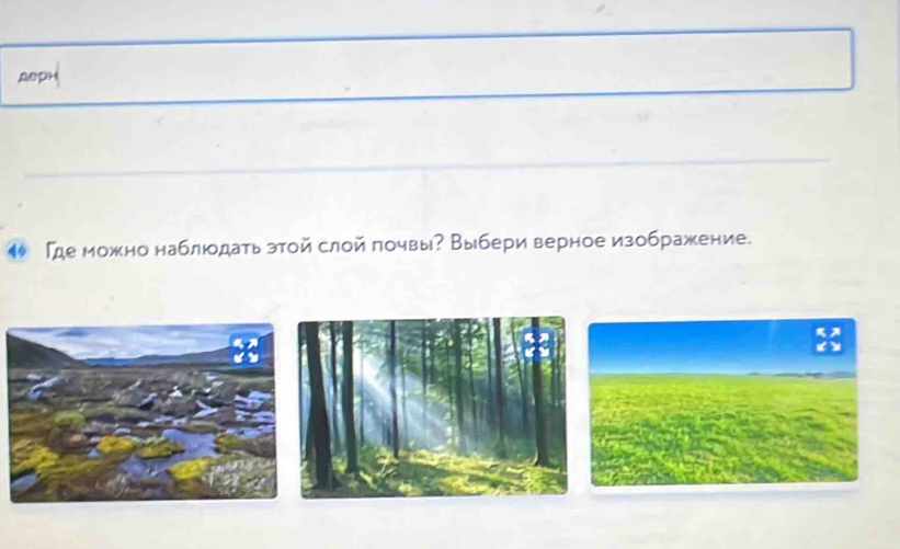 26pH
¶ Где можно наблюодать зтой слой πочвы? Выбери верное изображение.