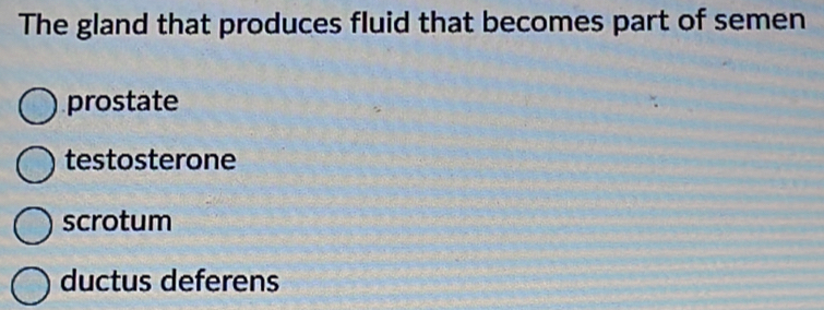 The gland that produces fluid that becomes part of semen
prostate
testosterone
scrotum
ductus deferens