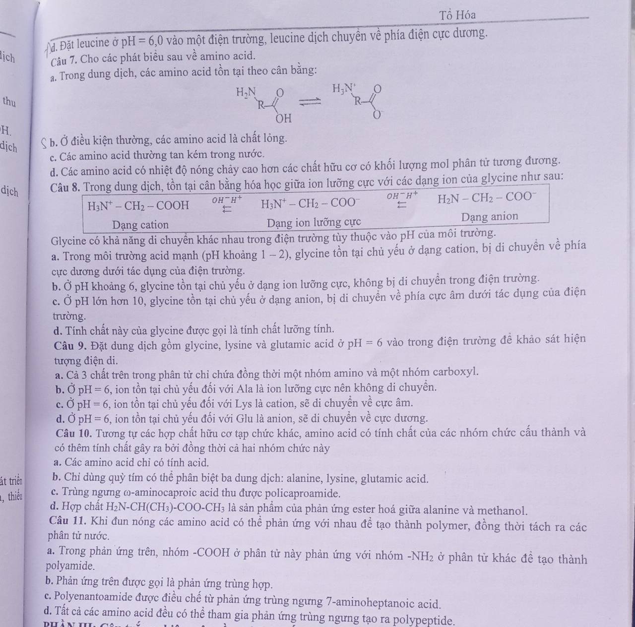 Tổ Hóa
d. Đặt leucine ở pH =6,0 vào một điện trường, leucine dịch chuyền về phía điện cực dương.
ịch Câu 7. Cho các phát biểu sau về amino acid.
a. Trong dung dịch, các amino acid tồn tại theo cân bằng:
thu^(H_2)NR-_(OH)^Oleftharpoons^(H_3)NR-_O^(O
H.
dịch
b. Ở điều kiện thường, các amino acid là chất lỏng.
c. Các amino acid thường tan kém trong nước.
d. Các amino acid có nhiệt độ nóng chảy cao hơn các chất hữu cơ có khối lượng mol phân tử tương đương.
dịch Câu 8. Trong dung dịch, tồn tại cân bằng hóa học giữa ion lưỡng cực với các dạng ion của glycine như sau:
H_3)N^+-CH_2-COOH OH^-H^+ H_3N^+-CH_2-COO^- OH^-H^+ H_2N-CH_2-COO^-
(□)° _ overleftarrow 
Dạng cation Dạng ion lưỡng cực Dạng anion
Glycine có khả năng di chuyền khác nhau trong điện trường tùy thuộc vào pH của môi trường.
a. Trong môi trường acid mạnh (pH khoảng 1 - 2), glycine tồn tại chủ yếu ở dạng cation, bị di chuyền về phía
cực dương dưới tác dụng của điện trường.
b. Ở pH khoảng 6, glycine tồn tại chủ yểu ở dạng ion lưỡng cực, không bị di chuyển trong điện trường.
c. Ở pH lớn hơn 10, glycine tồn tại chủ yếu ở dạng anion, bị di chuyển về phía cực âm dưới tác dụng của điện
trường.
d. Tính chất này của glycine được gọi là tính chất lưỡng tính.
Câu 9. Đặt dung dịch gồm glycine, lysine và glutamic acid ở pH=6 vào trong điện trường để khảo sát hiện
tượng điện di.
a. Cả 3 chất trên trong phân tử chỉ chứa đồng thời một nhóm amino và một nhóm carboxyl.
b. vector OpH=6 , ion tồn tại chủ yếu đối với Ala là ion lưỡng cực nên không di chuyển.
c. vector OpH=6 , ion tồn tại chủ yếu đối với Lys là cation, sẽ di chuyển về cực âm.
d. vector OpH=6 , ion tồn tại chủ yếu đối với Glu là anion, sẽ di chuyển về cực dương.
Câu 10. Tương tự các hợp chất hữu cơ tạp chức khác, amino acid có tính chất của các nhóm chức cấu thành và
có thêm tính chất gây ra bởi đồng thời cả hai nhóm chức này
a. Các amino acid chỉ có tính acid.
át triển b. Chỉ dùng quỳ tím có thể phân biệt ba dung dịch: alanine, lysine, glutamic acid.
, thiếu c. Trùng ngưng ω-aminocaproic acid thu được policaproamide.
d. Hợp chất H_2N-CH(CH_3)-COO-CH_3 là sản phẩm của phản ứng ester hoá giữa alanine và methanol.
Câu 11. Khi đun nóng các amino acid có thể phản ứng với nhau để tạo thành polymer, đồng thời tách ra các
phân tử nước.
a. Trong phản ứng trên, nhóm -COOH ở phân tử này phản ứng với nhóm -NH_2 ở phân tử khác đề tạo thành
polyamide.
b. Phản ứng trên được gọi là phản ứng trùng hợp.
c. Polyenantoamide được điều chế từ phản ứng trùng ngưng 7-aminoheptanoic acid.
d. Tất cả các amino acid đều có thể tham gia phản ứng trùng ngưng tạo ra polypeptide.