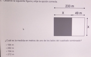 Observe la siguiente figura y elija la opción conrecta.
Cuál es la medida en metros de uno de los lados del cuadrado sombreado?
184 m
e282 m
194 m
。 272 m