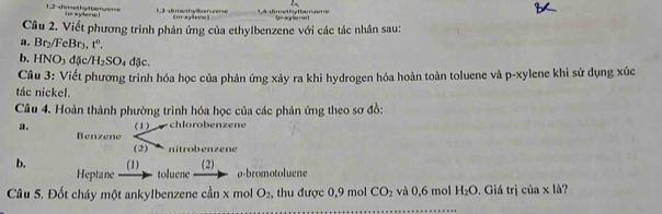 shret hyd be nueme i xyter w ! 1 dimo thy ben z ene (mxyleme) 1, 4 dimethytbenzene tp-agylie re ! 
Câu 2. Viết phương trình phản ứng của ethylbenzene với các tác nhân sau: 
a. Br₂/FeBr₃, t°. 
b. HNO3 đặc H_2SO_4 đặc. 
Câu 3: Viết phương trình hóa học của phản ứng xảy ra khi hydrogen hóa hoàn toàn toluene và p-xylene khi sử dụng xúc 
tác nickel. 
Câu 4. Hoàn thành phường trình hóa học của các phản ứng theo sơ đồ: 
a. (1) chlo ro ben z en 
Benzene 
(2) nitrobenzene 
b. (1) toluene (2) ø-bromotoluene 
Heptane 
Câu 5. Đốt cháy một ankylbenzene cần x mol O_2 , thu được 0,9 mol CO_2 và 0,6 mol H_2O. Giá trị của x là?