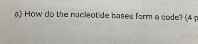 How do the nucleotide bases form a code? (4 p