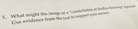 What might the image of a “constellation of fireflies flickering” represent? 
Use evidence from the text to support your answer.