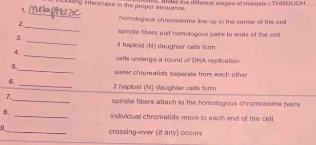 ncluding interphase in the proper sequence. vded, arder the different stages of melosis I THROUGH. 
_ 
1. 
_ 
homologous chromosome line up in the center of the cell 
2. 
_ 
spindle fibers pull homologous pairs to ends of the cell 
3. 
4 haploid (N) daughter cells form 
4. 
_ 
cells undergo a round of DNA replication 
_ 
5. 
sister chromatids separate from each other 
6._ 
2 haploid (N) daughter cells form 
_ 
7. 
spindle fibers attach to the homologous chromosome pairs 
8. 
_individual chromatids move to each end of the cell 
9. 
_crossing-over (if any) occurs