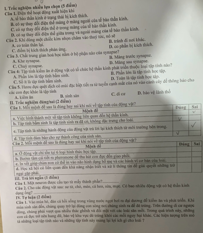 Trắc nghiệm nhiều lựa chọn (5 điểm)
Câu 1. Điện thể hoạt động xuất hiện khi
A. tế bào thần kinh ở trạng thái bị kích thích.
B. có sự thay đổi điện thể màng ở màng ngoài của tế bào thần kinh.
C. có sự thay đổi điện thế ở trong màng của tế bào thần kinh.
D. có sự thay đổi điện thế giữa trong và ngoài màng của tế bào thần kinh.
Câu 2. Khi dùng một chiếc kim nhọn châm vào thuỷ tức, nó sẽ
A. co toàn thân lại. B. tránh đi nơi khác.
C. điểm bị kích thích phản ứng. D. co phần bị kích thích.
Câu 3. Chất trung gian hoá học nằm ở bộ phận nào của synapse?
A. Khe synapse. B. Màng trước synapse.
C. Chuy synapse. D. Màng sau synapse.
Câu 4: Tập tính kiếm ăn ở động vật có tổ chức hệ thần kinh phát triển thuộc loại tập tính nào?
A. Phần lớn là tập tính bẩm sinh. B. Phần lớn là tập tính học tập.
C. Số ít là tập tính bầm sinh. D. Toàn là tập tính học tập.
Câu 5. Hươu dực quệt dịch có mùi đặc biệt tiết ra từ tuyến cạnh mắt của nó vào cảnh cây để thông báo cho
các con đực khác là tập tính
A. kiểm ăn B. sinh sản C. di cư D. bảo vệ lãnh thổ
II. Trắc nghiệm đúng/sai (2 điểm)
III. Trã lời ngắn (1 điểm)
Câu 1. Một neuron được cấu tạo từ mấy thành phần?_
Câu 2. Cho các động vật sau: sư tử, chó, mèo, cá heo, sứa, mực. Có bao nhiêu động vật có hệ thần kinh
dạng ống?_
IV. Tự luận (2 điểm)
Cầu 1. Vào mùa hè, dàn cá hồi sống trong vùng nước ngọt bơi ra đại dương để kiểm ăn và phát triển. Khi
mùa sinh sản đến, chúng quay trở lại đúng con sông nơi chúng sinh ra để đẻ trứng. Trên đường di cư ngược
dòng, chúng phải vượt qua nhiều thác ghènh và đổi mặt với các loài săn mồi. Trong quá trình này, những
con cá dực trở nên hung dữ, bảo vệ khu vực đẻ trứng khỏi các mối nguy hại khác. Các hiện tượng trên mô
tả những loại tập tính nào và những tập tính này mang lại lợi ích gì cho loài ?