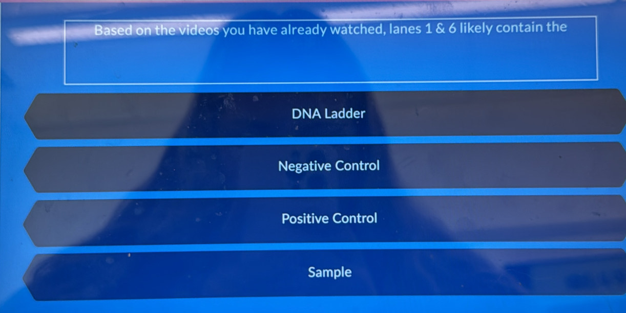 Based on the videos you have already watched, lanes 1 & 6 likely contain the
DNA Ladder
Negative Control
Positive Control
Sample