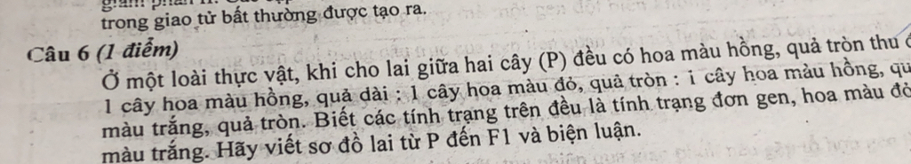 gám phán 
trong giao tử bất thường được tạo ra. 
Câu 6 (1 điểm) 
Ở một loài thực vật, khi cho lai giữa hai cây (P) đều có hoa màu hồng, quả tròn thu ở 
1 cây hoa màu hồng, quả dài : 1 cây hoa màu đỏ, quả tròn : i cây hoa màu hồng, qu 
màu trắng, quả tròn. Biết các tính trạng trên đều là tính trạng đơn gen, hoa màu đờ 
màu trắng. Hãy viết sơ đồ lai từ P đến F1 và biện luận.