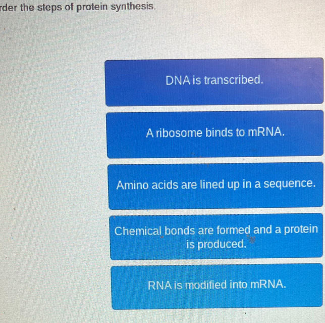 rder the steps of protein synthesis. 
DNA is transcribed. 
A ribosome binds to mRNA. 
Amino acids are lined up in a sequence. 
Chemical bonds are formed and a protein 
is produced. 
RNA is modified into mRNA.