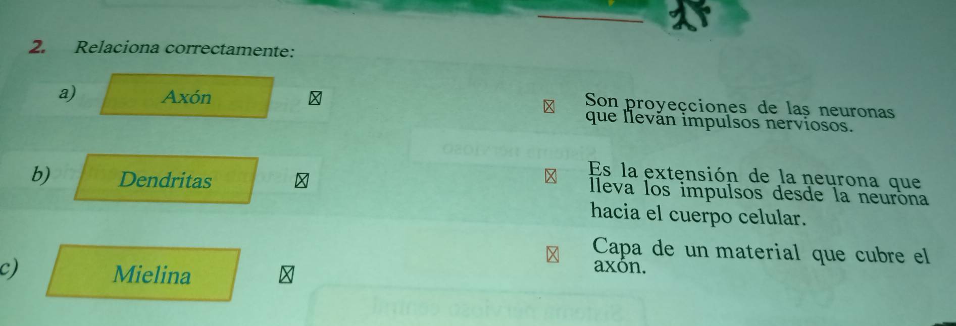 Relaciona correctamente:
Son proyeçciones de laș neuronas
a) Axón que leván impulsos nerviosos.
b)
Dendritas
Es la extensión de la neurona que
lleva los impulsos desde la neuróna
hacia el cuerpo celular.
Capa de un material que cubre el
c)
Mielina
axón.