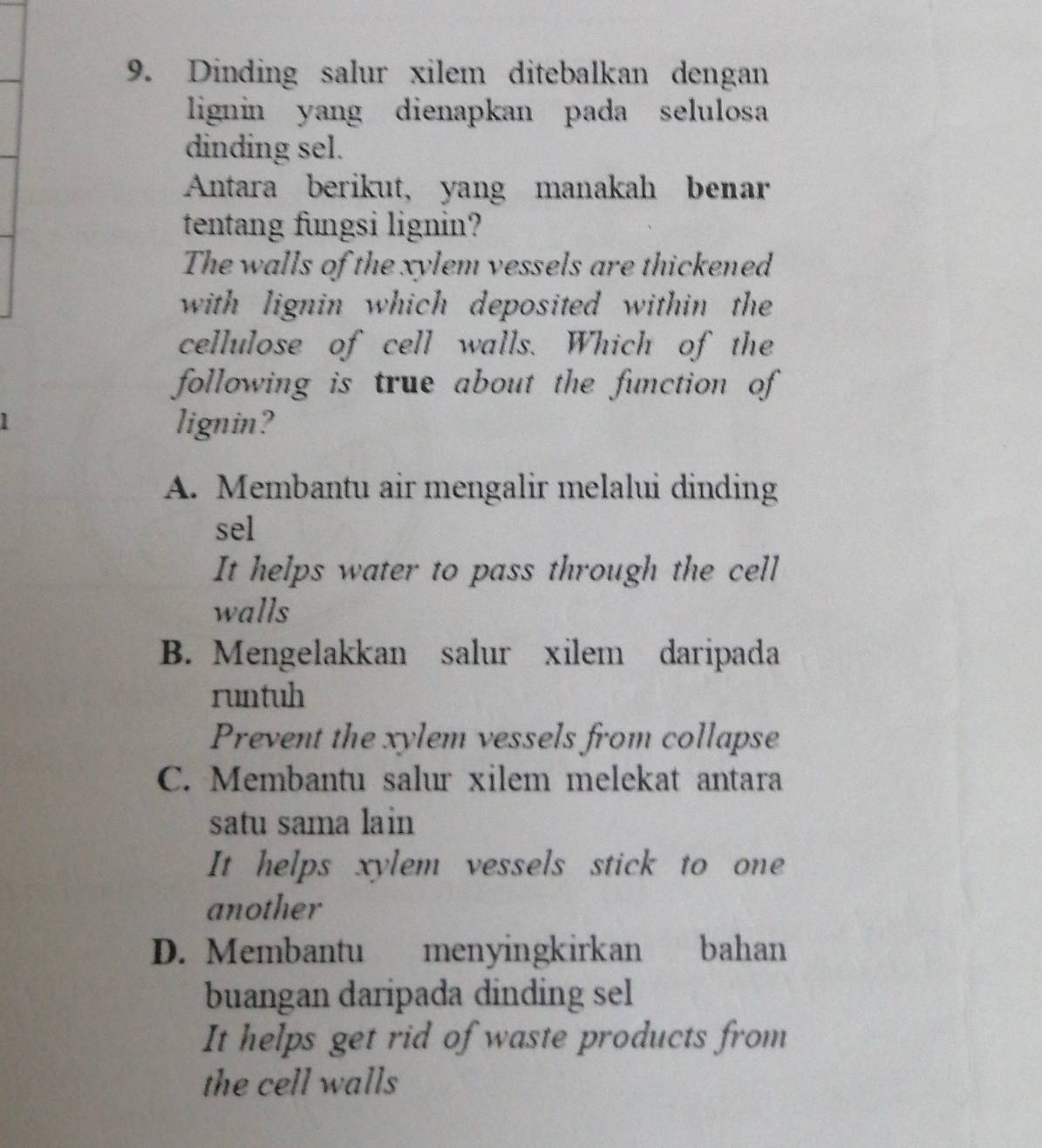 Dinding salur xilem ditebalkan dengan
lignin yang dienapkan pada selulosa
dinding sel.
Antara berikut, yang manakah benar
tentang fungsi lignin?
The walls of the xylem vessels are thickened
with lignin which deposited within the
cellulose of cell walls. Which of the
following is true about the function of
lignin?
A. Membantu air mengalir melalui dinding
sel
It helps water to pass through the cell
walls
B. Mengelakkan salur xilem daripada
runtuh
Prevent the xylem vessels from collapse
C. Membantu salur xilem melekat antara
satu sama lain
It helps xylem vessels stick to one
another
D. Membantu menyingkirkan bahan
buangan daripada dinding sel
It helps get rid of waste products from
the cell walls