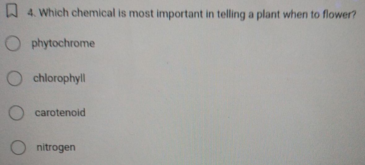 Which chemical is most important in telling a plant when to flower?
phytochrome
chlorophyll
carotenoid
nitrogen