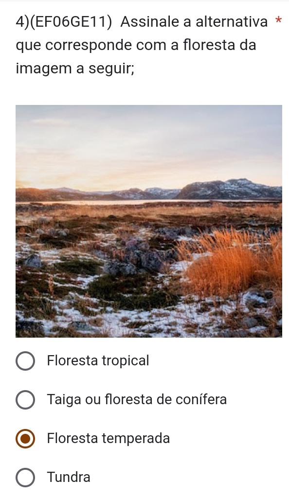 4)(EF06GE11) Assinale a alternativa *
que corresponde com a floresta da
imagem a seguir;
Floresta tropical
Taiga ou floresta de conífera
Floresta temperada
Tundra