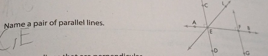 Name a pair of parallel lines.