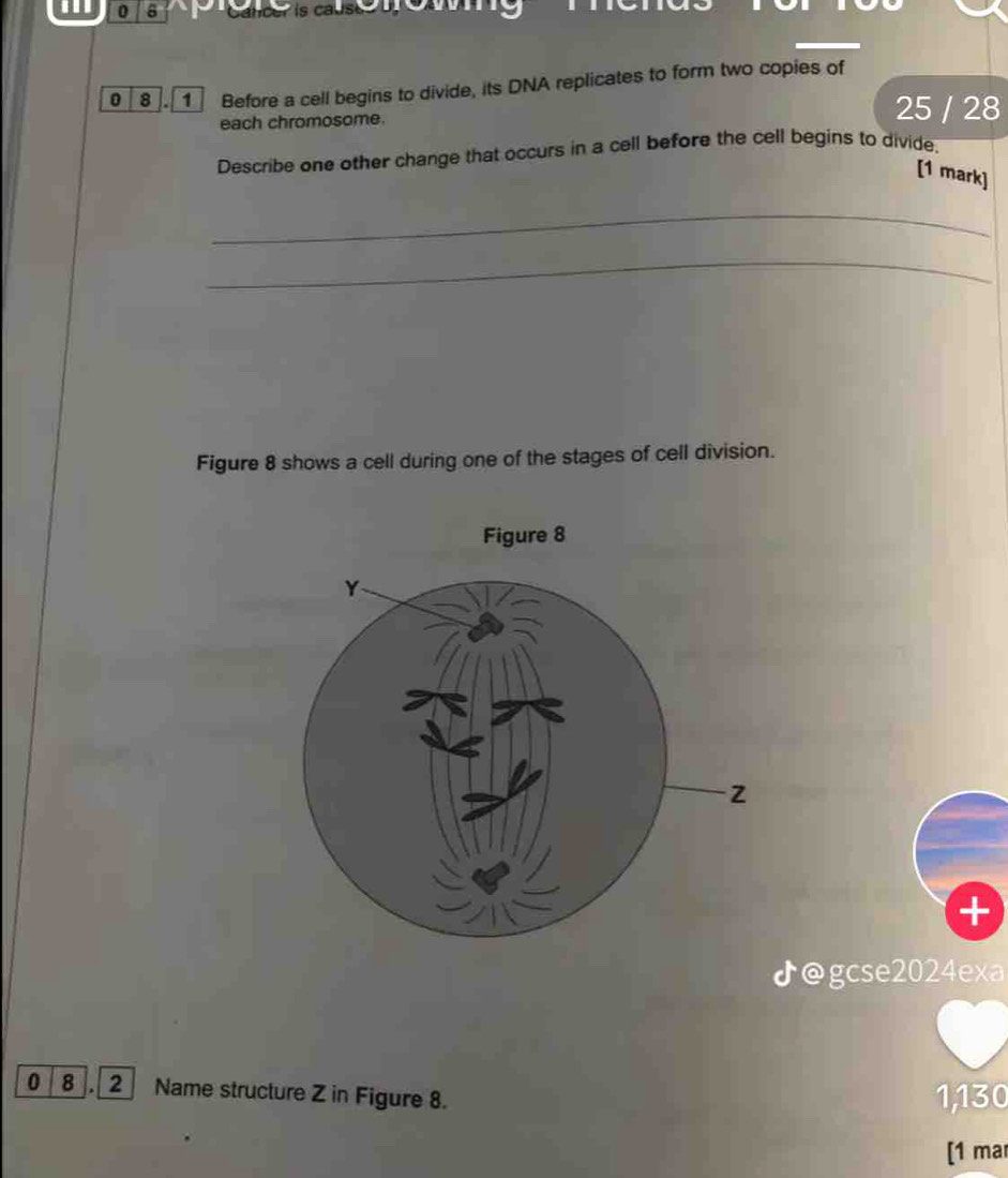 ' 0 8 Canceris cause o r 
0 8 . Before a cell begins to divide, its DNA replicates to form two copies of 
each chromosome. 
25 / 28 
Describe one other change that occurs in a cell before the cell begins to divide. 
[1 mark] 
_ 
_ 
Figure 8 shows a cell during one of the stages of cell division. 
+ 
♪@gcse2024exa 
0 8 . 2 Name structure Z in Figure 8. 1,130 
[1 mar