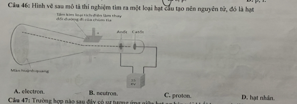 Hình vẽ sau mô tả thí nghiệm tìm ra một loại hạt cầu tạo nên nguyên tử, đó là hạt
đổi đường đi của chùm tia Tấm kim loại tích điện làm thay
A. electron. B. neutron. C. proton. D. hạt nhân.
* Câu 47: Trường hợp nào sau đây có sự tượng ứng giữa hạt