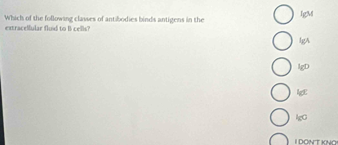 Which of the following classes of antibodies binds antigens in the
lgM
extracellular fluid to B cells?
lgA
IgD
lgE
lgG
I DON'T KNO