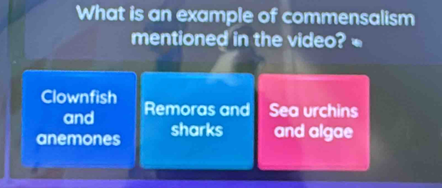 What is an example of commensalism
mentioned in the video?
Clownfish
and Remoras and Sea urchins
anemones
sharks and algae