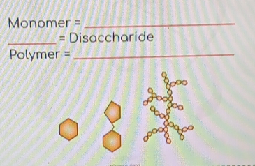 Monomer =_ 
_ =D Disaccharide 
Polymer =_