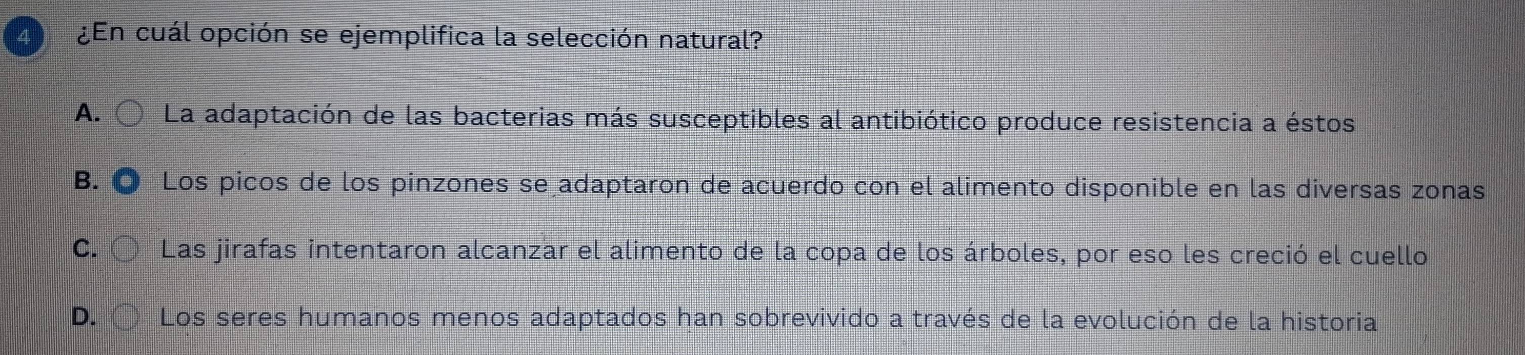 4 ¿En cuál opción se ejemplifica la selección natural?
A. La adaptación de las bacterias más susceptibles al antibiótico produce resistencia a éstos
B. Los picos de los pinzones se adaptaron de acuerdo con el alimento disponible en las diversas zonas
C. Las jirafas intentaron alcanzar el alimento de la copa de los árboles, por eso les creció el cuello
D. Los seres humanos menos adaptados han sobrevivido a través de la evolución de la historia