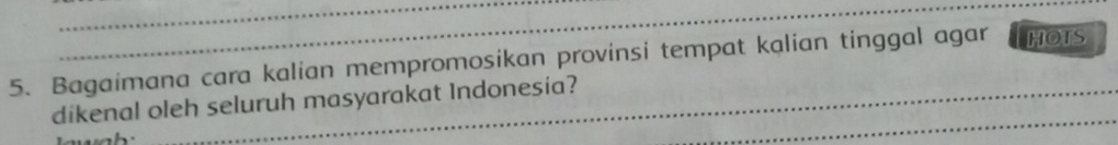 Bagaimana cara kalian mempromosikan provinsi tempat kalian tinggal agar HOTS 
dikenal oleh seluruh masyarakat Indonesia? 
_ 
_ 
_