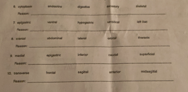 cytoplasm endocrine digestive excretory skeletal
Reason:_
7. epigastric ventral hypegastric umbilical left illac
Reason
_
8. cranial abdominal ateral orbital theracie
Reason:
_
9. medial epigastric inferior caudal superficial
Reason:
_
10. transverse frontal sagittal anterior midsagittal
Reason:
_