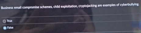 Business email compromise schemes, child exploitation, cryptojacking are examples of cyberbullying.
True
False