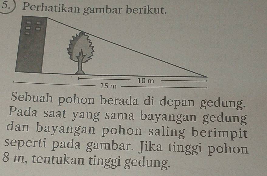 5. Perhatikan gambar berikut. 
Sebuah pohon berada di depan gedung. 
Pada saat yang sama bayangan gedung 
dan bayangan pohon saling berimpit 
seperti pada gambar. Jika tinggi pohon
8 m, tentukan tinggi gedung.