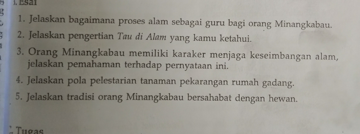 Esai 
1. Jelaskan bagaimana proses alam sebagai guru bagi orang Minangkabau. 
2. Jelaskan pengertian Tau di Aløm yang kamu ketahui. 
3. Orang Minangkabau memiliki karaker menjaga keseimbangan alam, 
jelaskan pemahaman terhadap pernyataan ini. 
4. Jelaskan pola pelestarian tanaman pekarangan rumah gadang. 
5. Jelaskan tradisi orang Minangkabau bersahabat dengan hewan. 
. Tugas