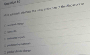 Most scientists attribute the mass extinction of the dinosaurs to
sea-level change.
sunspots
meteorite impact.
predation by mammals.
gradual climate change.