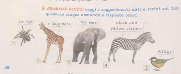 GRAMMAR ROCKS! Leggi i suggerimenti dati e scrivi sul tuo 
quaderno cinque domande e risposte brevi.