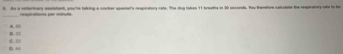 As a veterinary assistant, you're taking a cocker spaniel's respiratory rate. The dog takes 11 breaths in 30 seconds. You therefore calculate the respiratory rate to be
_respirations per minute.
A. 60
B. 33
C. 22
D. 44