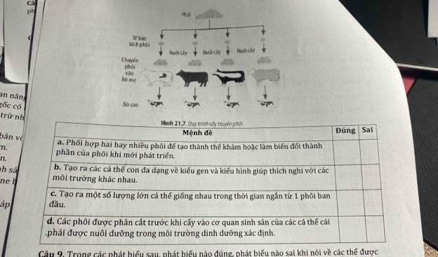 Cả
ph
an năn;
cốc có
trừ nh
Hình 21.7. Quy trình cấy truyền phán Đúng Sai
bản về
Mệnh đề
7. a. Phối hợp hai hay nhiều phối đế tạo thành thế khảm hoặc làm biến đối thành
n. phần của phôi khi mới phát triển.
h sả
b. Tạo ra các cá thể con đa dạng về kiểu gen và kiểu hình giúp thích nghi với các
n b môi trường khác nhau.
c. Tạo ra một số lượng lớn cá thế giống nhau trong thời gian ngắn từ 1 phôi ban
áp đầu.
d. Các phối được phân cắt trước khi cấy vào cơ quan sinh sản của các cá thể cái
.phải được nuôi dưỡng trong môi trường dinh dưỡng xác định.
Câu 9. Trong các phát biểu sau, phát biểu nào đúng, phát biểu nào sai khi nói về các thể được