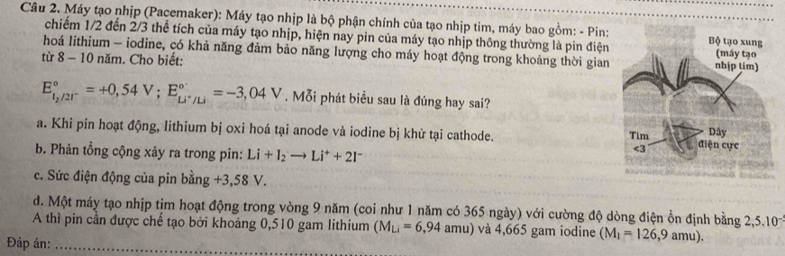 Máy tạo nhịp (Pacemaker): Máy tạo nhịp là bộ phận chính của tạo nhịp tim, máy bao gồm: - Pin:
chiếm 1/2 đến 2/3 thể tích của máy tạo nhịp, hiện nay pin của máy tạo nhịp thông thường là pin điện
hoá lithium - iodine, có khả năng đảm bảo năng lượng cho máy hoạt động trong khoảng thời gian
từ 8 - 10 năm. Cho biết:
E_l_2/2r^circ =+0,54V; E_Li^+/Li^circ =-3,04V. Mỗi phát biểu sau là đúng hay sai?
a. Khi pin hoạt động, lithium bị oxi hoá tại anode và iodine bị khử tại cathode.
b. Phản tổng cộng xảy ra trong pin: Li+I_2to Li^++2I^-
c. Sức điện động của pin bằng +3,58 V.
d. Một máy tạo nhịp tim hoạt động trong vòng 9 năm (coi như 1 năm có 365 ngày) với cường độ dòng điện ồn định bằng 2,5.107
A thì pin cần được chế tạo bởi khoảng 0,510 gam lithium (M_Li=6,94amu) và 4,665 gam iodine (M_1=126,9amu)
Đáp án:_