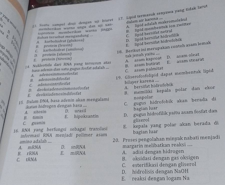 Lipid termasuk senyawa yang tidak larut
:
A. lipid adalah makromolekul
13. Suatu sampel diuji dengan uji biuret
memberikan warna ungu dan uji xan- dalam air karena ....
toprotein memberikan warna jingga.
B. lipid membentuk ion zwitter
Bahan tersebut mengandung ---
C. lipid bersifat netral
A. karbohidrat (glukosa)
D. lipid bersifat hidrofilik
E. lipid bersifat hidrofobik
e C. karbohidrat (amilosa)
B. protein (leusin)
18. Berikut ini merupakan contoh asam lemak
D. protein (alanín)
tak jenuh yaitu ....
E. proteín (tirosin)
14. Nukleotida dari RNA yang tersusun atas A. asam kaproat D. asam oleat
basa adenin dan satu gugus fosfat adalah .... B. asam butirat E. asam stearat
C. asam palmitat
A. adenosinmonofosfat
B. adenosindifosfat
19. Gliserofosfolipid dapat membentuk lipid
C. adenosintrifosfat
bilayer karena ....
D. deoksiadenosinmonofosfat
A. bersifat hidrofobik
E. deoksiadenosindifosfat
B. memiliki kepala polar dan ekor
15. Dalam DNA, basa adenin akan mengalami nonpolar
a ikatan hidrogen dengan basa .... C. gugus hidrofobik akan berada di
 A. sitosin D. urasil bagian luar
B. timin E. hipoksantin D. gugus hidrofilik yaitu asam fosfat dan
C. guanin
gliserol
16. RNA yang berfungsi sebagai translasi E. kepala yang polar akan berada di
informasi RNA menjadi polimer asam bagian luar
amino adalah .... 20. Proses pengolahan minyak nabati menjadi
A. mRNA D. snRNA margarin melibatkan reaksi ....
B. rRNA E. miRNA A. adisi dengan hidrogen
C. tRNA B. oksidasi dengan gas oksigen
C. esterifikasi dengan gliserol
D. hidrolisis dengan NaOH
E. reaksi dengan logam Na