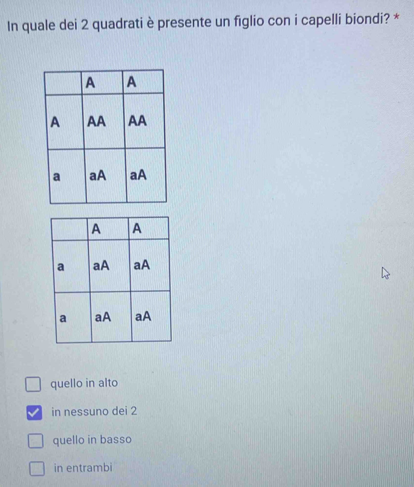 In quale dei 2 quadrati è presente un figlio con i capelli biondi? *
quello in alto
in nessuno dei 2
quello in basso
in entrambi