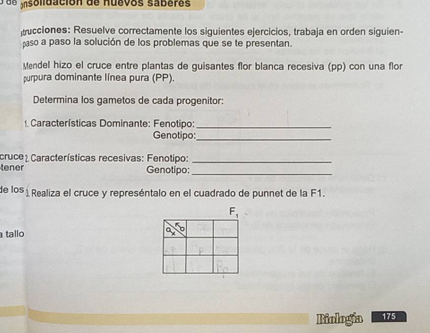 de insolidación de nuevos sabères 
trucciones: Resuelve correctamente los siguientes ejercicios, trabaja en orden siguien- 
paso a paso la solución de los problemas que se te presentan. 
Mendel hizo el cruce entre plantas de guisantes flor blanca recesiva (pp) con una flor 
purpura dominante línea pura (PP). 
Determina los gametos de cada progenitor: 
1, Características Dominante: Fenotipo:_ 
Genotipo:_ 
crucel Características recesivas: Fenotipo:_ 
tener Genotipo:_ 
de los Realiza el cruce y represéntalo en el cuadrado de punnet de la F1.
F_1
tallo 
Biologia 175