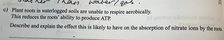 Plant roots in waterlogged soils are unable to respire aerobically. 
This reduces the roots’ ability to produce ATP. 
Describe and explain the effect this is likely to have on the absorption of nitrate ions by the roots.