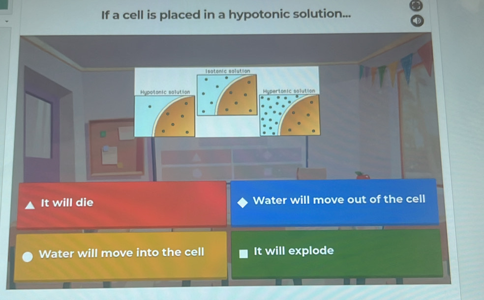 If a cell is placed in a hypotonic solution... 
isotonic solution 
Hypotonic solution Hypertonic solution 
It will die Water will move out of the cell 
Water will move into the cell It will explode