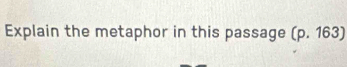 Explain the metaphor in this passage (p.163)