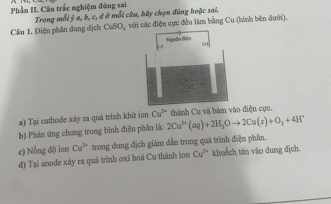 A
Phần II. Câu trắc nghiệm đúng sai
Trong mỗi ý a, b, c, d ở mỗi câu, hãy chọn đúng hoặc sai.
Câu 1. Điện phân dung dịch CuSO_4 với các điện cực đều làm bằng Cu (hình bên dưới).
a) Tại cathode xảy ra quá trình khử ion Cu^(2+) thành Cu và bám vào điện cực.
b) Phản ứng chung trong bình điện phân là: 2Cu^(2+)(aq)+2H_2Oto 2Cu(s)+O_2+4H^+
c) Nồng độ ion Cu^(2+) trong dung dịch giảm dần trong quá trình điện phân.
d) Tại anode xảy ra quá trình oxi hoá Cu thành ion Cu^(2+) khuếch tán vào dung dịch.