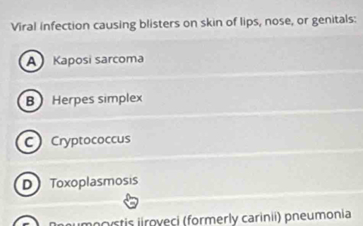 Viral infection causing blisters on skin of lips, nose, or genitals:
A Kaposi sarcoma
BHerpes simplex
C Cryptococcus
D Toxoplasmosis
numocystis iiroveci (formerly carinii) pneumonia