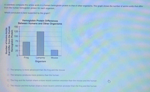 A scientists compares the amino acids in a human hemoglobin protein to that of other organisms. The graph shows the number of amino acids that differ
from the human hemoglobin protein for each organism.
Which conclusion is best supported by the graph?
Hemoglobin Protein Differences
Between Humans and Other Organisms
ξ
Organism
The lamprey is more advanced than the frog and the mouse
The lamprey produces more proteins than the human.
The frog and the human share a more recent common ancestor than the mouse and the human.
The mouse and the human share a more recent common ancestor than the frog and the human.
