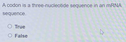 A codon is a three-nucleotide sequence in an mRNA
sequence.
True
False