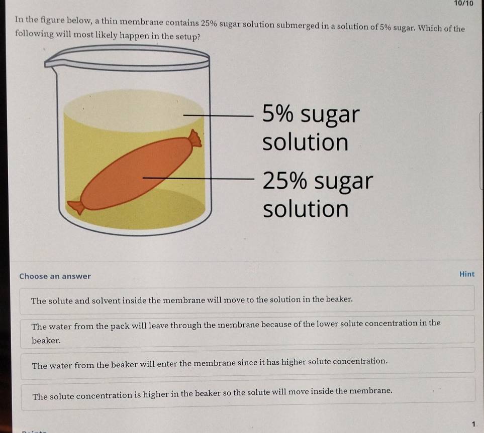 10/10
In the figure below, a thin membrane contains 25% sugar solution submerged in a solution of 5% sugar. Which of the
following will most likely happen in the setup?
5% sugar
solution
25% sugar
solution
Choose an answer
Hint
The solute and solvent inside the membrane will move to the solution in the beaker.
The water from the pack will leave through the membrane because of the lower solute concentration in the
beaker.
The water from the beaker will enter the membrane since it has higher solute concentration.
The solute concentration is higher in the beaker so the solute will move inside the membrane.
1.